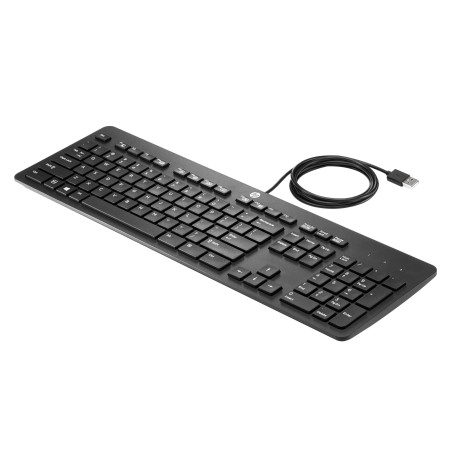 CLAVIER HP HP KB USB SKYLA